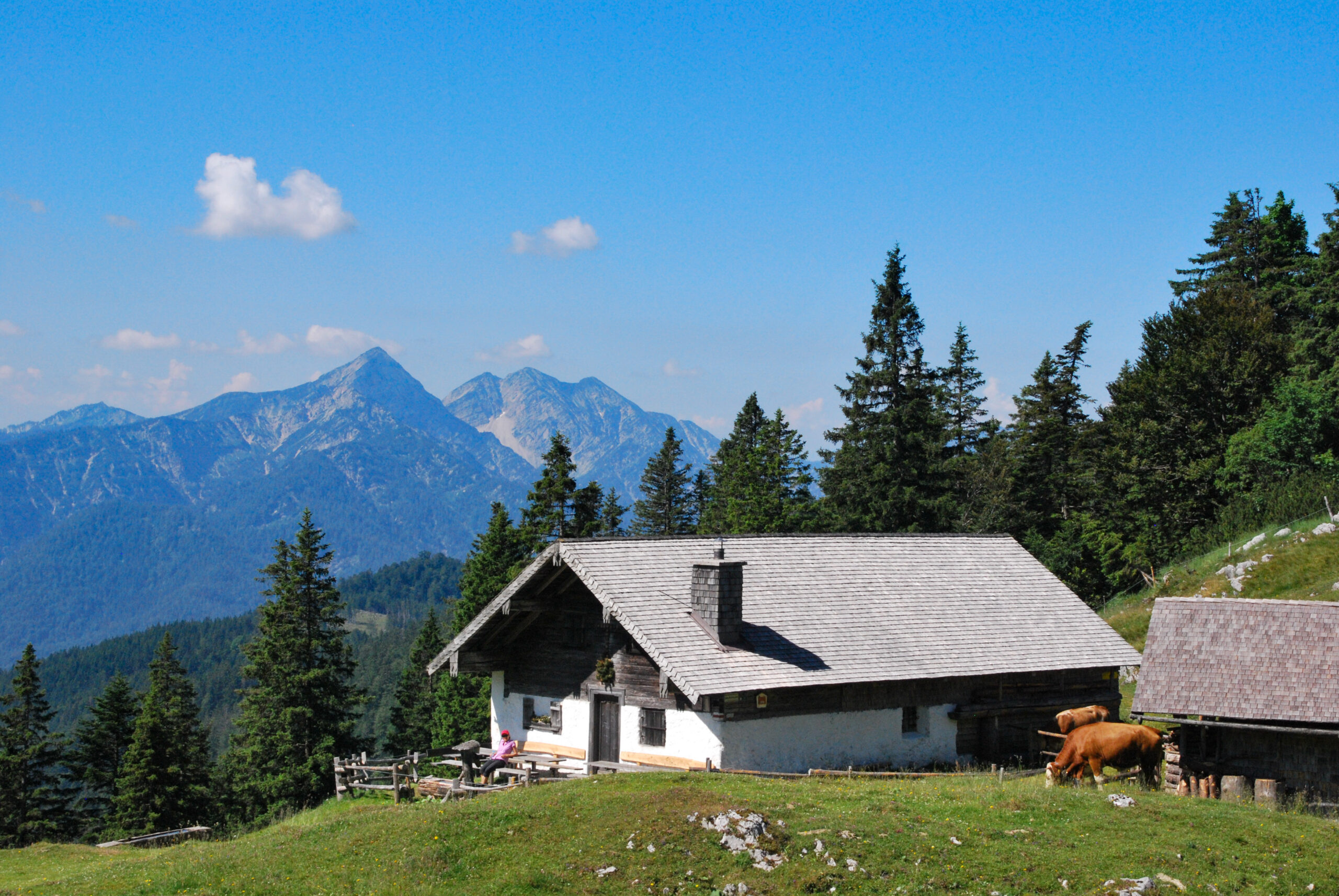 Bild eines malerischen Berges mit einem alten Haus und Kühen, die auf einer grünen Wiese grasen.